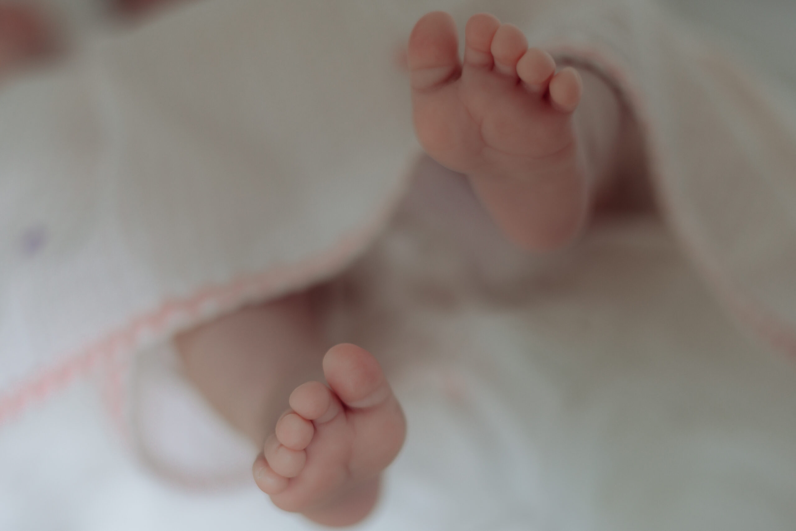 Close-up of newborn features captured in studio light